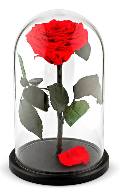 Красная роза в колбе — Цветы SFlower – доставка цветочных букетов в Хабаровске. У нас цветы можно купить или заказать с доставкой круглосуточно — 