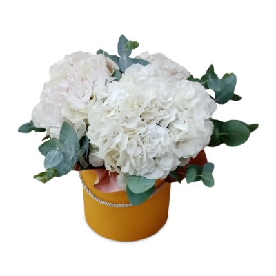 Гортензии в шляпной коробке — Цветы SFlower – доставка цветочных букетов в Хабаровске. У нас цветы можно купить или заказать с доставкой круглосуточно — 