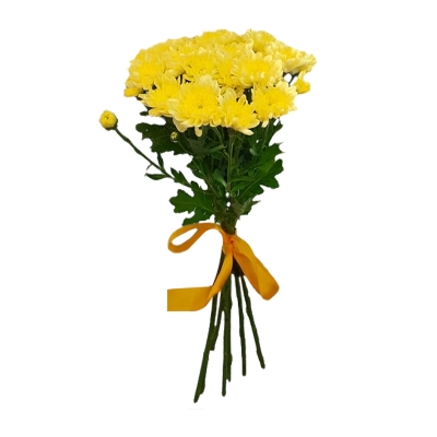 Букет желтых хризантем — Цветы SFlower – доставка цветочных букетов в Хабаровске. У нас цветы можно купить или заказать с доставкой круглосуточно — e4cfc107